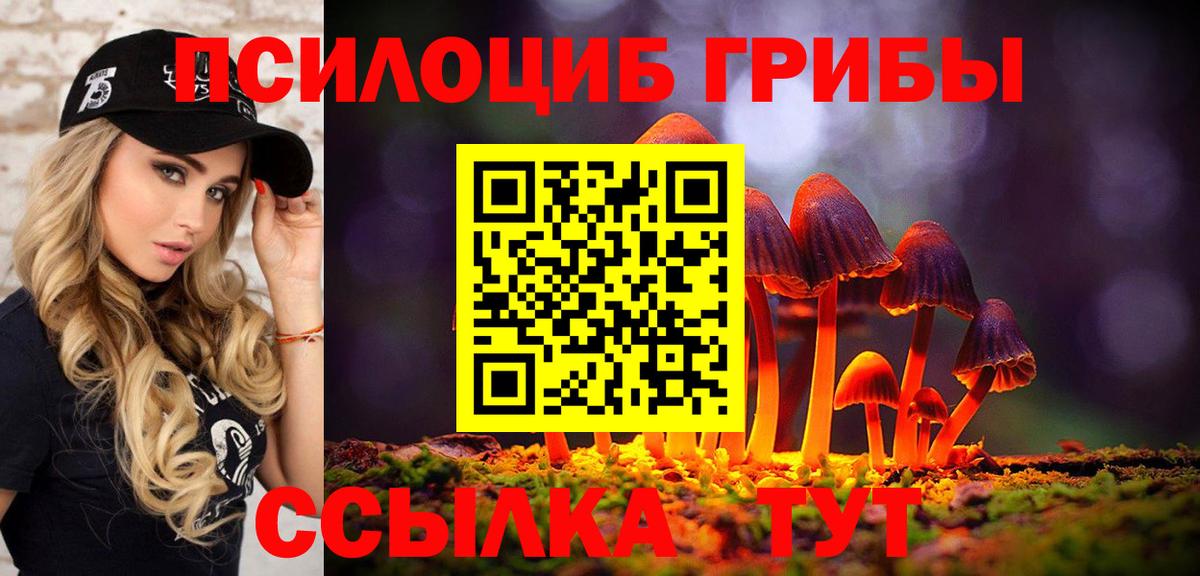 Галлюциногенные грибы GOLDEN TEACHER  Псилоцибиновые грибы Magic Shrooms  Вход с VPN  Кызыл 